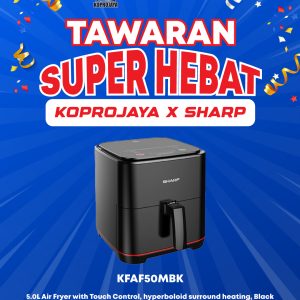 Air Fryer Dec Promo